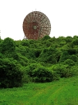1 base a dish.jpg